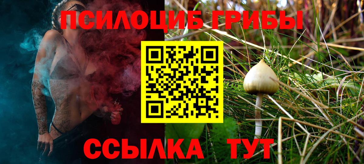 Галлюциногенные грибы Psilocybe  Псилоцибиновые грибы MAGIC MUSHROOMS  Вход с VPN  Черняховск 